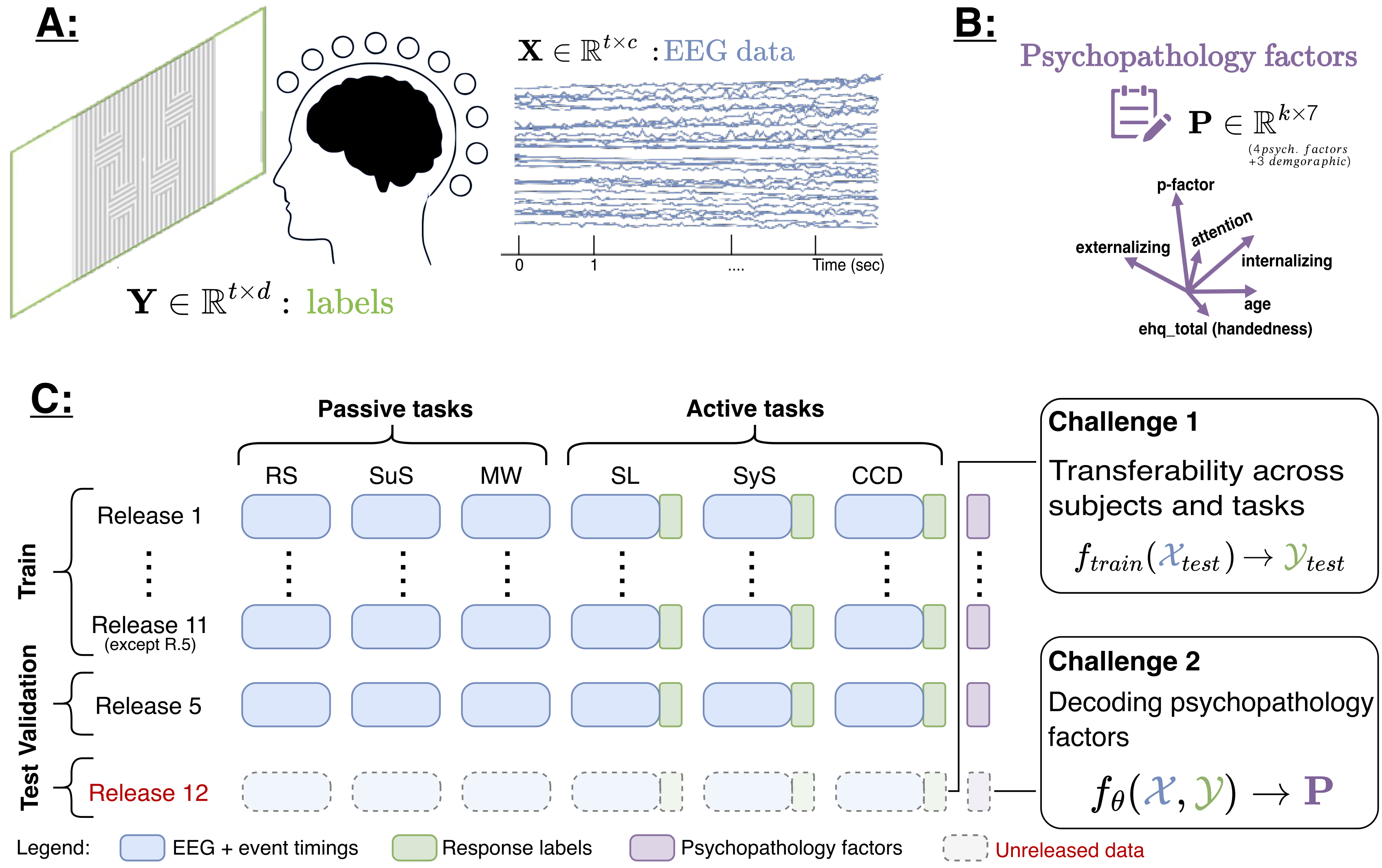 EEG 2025 Competition